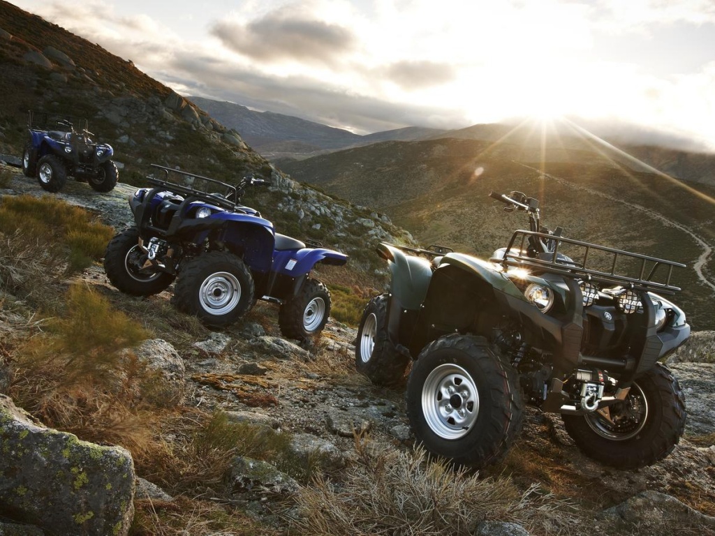 Фото квадроцикла Yamaha Grizzly 700 EPS